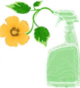 Eco Cleaning Spray Bottle