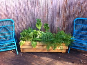 Tiarnas veggie gaden