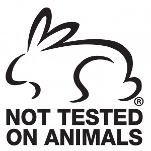 CCF Logo