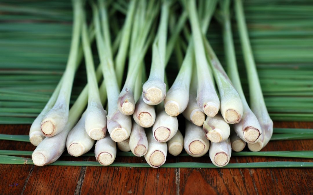 THE BENEFITS OF ORGANIC LEMONGRASS FOR HAIR