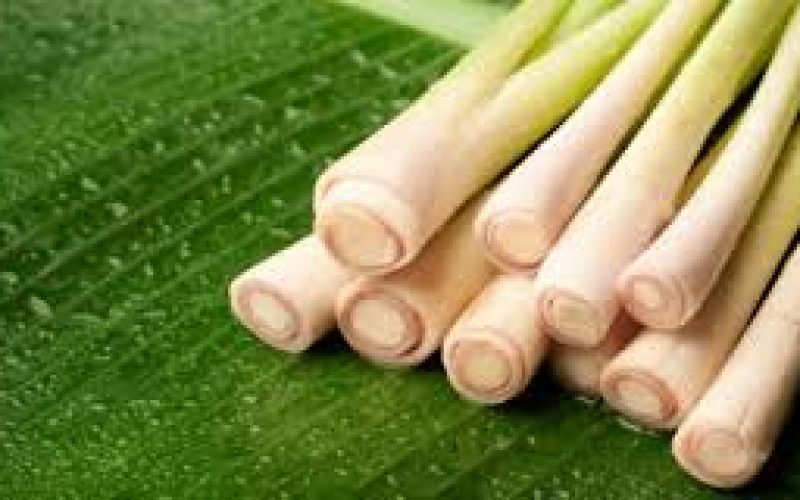 Lemongrass