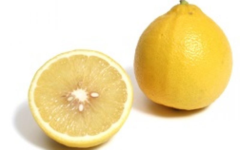 bergamot